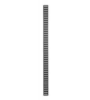 42 HE vertikale Kabelführungsleiste - 10 cm breit